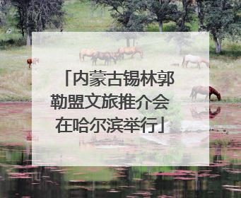内蒙古锡林郭勒盟文旅推介会在哈尔滨举行