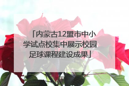 内蒙古12盟市中小学试点校集中展示校园足球课程建设成果