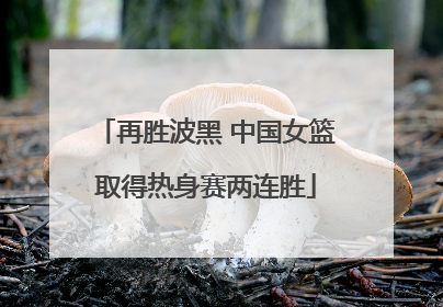 再胜波黑 中国女篮取得热身赛两连胜