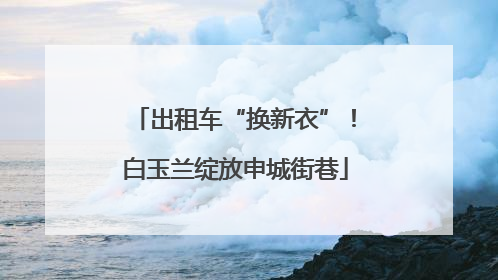 出租车“换新衣”！白玉兰绽放申城街巷