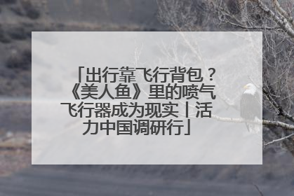出行靠飞行背包？《美人鱼》里的喷气飞行器成为现实丨活力中国调研行