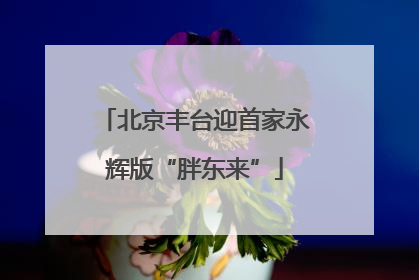 北京丰台迎首家永辉版“胖东来”