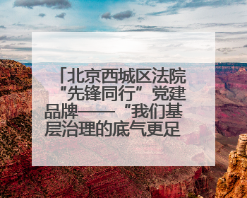 北京西城区法院“先锋同行”党建品牌——“我们基层治理的底气更足了！”