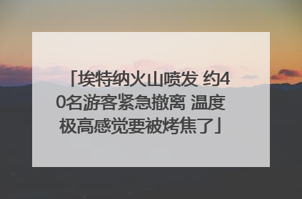 埃特纳火山喷发 约40名游客紧急撤离 温度极高感觉要被烤焦了