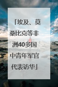 埃及、莫桑比克等非洲40多国中青年军官代表访华