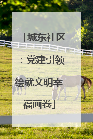 城东社区：党建引领绘就文明幸福画卷