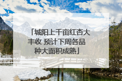 城阳上千亩红杏大丰收 预计下周各品种大面积成熟