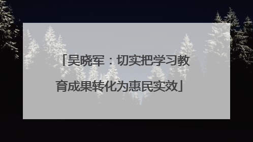 吴晓军：切实把学习教育成果转化为惠民实效