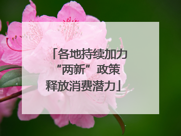 各地持续加力“两新”政策 释放消费潜力