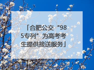 合肥公交“985专列”为高考考生提供接送服务