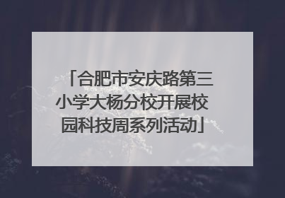 合肥市安庆路第三小学大杨分校开展校园科技周系列活动