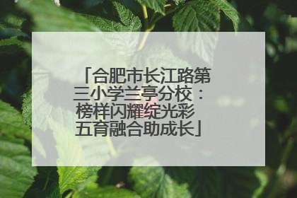 合肥市长江路第三小学兰亭分校：榜样闪耀绽光彩 五育融合助成长
