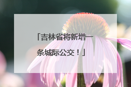 吉林省将新增一条城际公交！