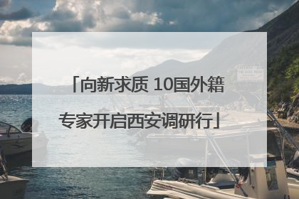 向新求质 10国外籍专家开启西安调研行