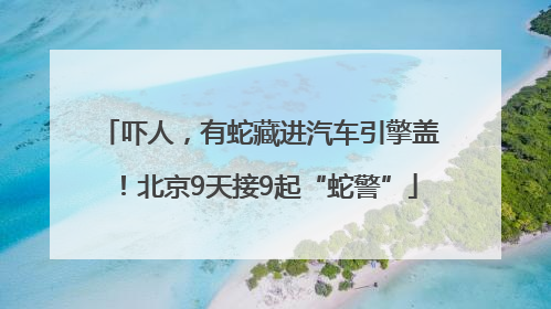 吓人，有蛇藏进汽车引擎盖！北京9天接9起“蛇警”