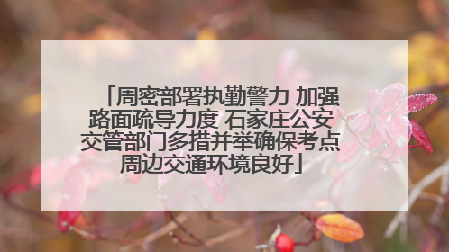 周密部署执勤警力 加强路面疏导力度 石家庄公安交管部门多措并举确保考点周边交通环境良好