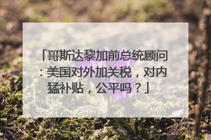 哥斯达黎加前总统顾问：美国对外加关税，对内猛补贴，公平吗？