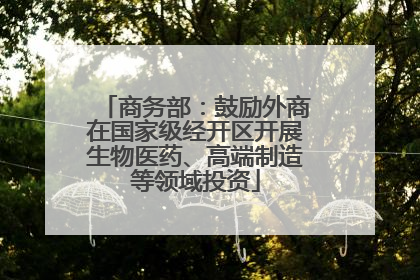 商务部：鼓励外商在国家级经开区开展生物医药、高端制造等领域投资