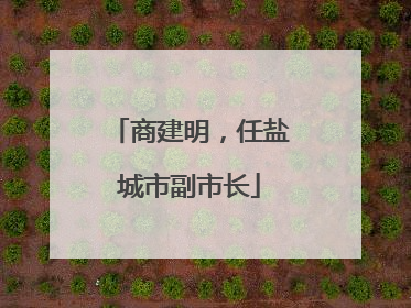 商建明，任盐城市副市长