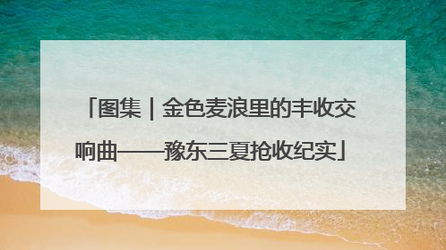 图集｜金色麦浪里的丰收交响曲——豫东三夏抢收纪实