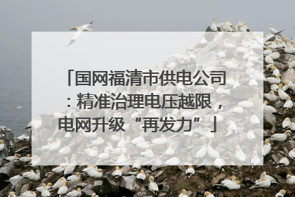 国网福清市供电公司：精准治理电压越限，电网升级“再发力”