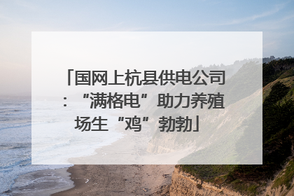 国网上杭县供电公司：“满格电”助力养殖场生“鸡”勃勃