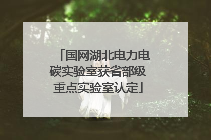国网湖北电力电碳实验室获省部级重点实验室认定