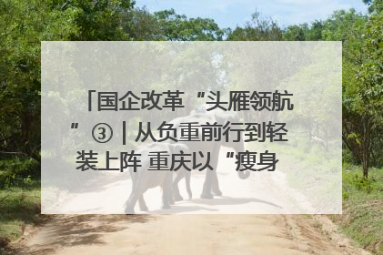 国企改革“头雁领航”③｜从负重前行到轻装上阵 重庆以“瘦身”谋“健体”