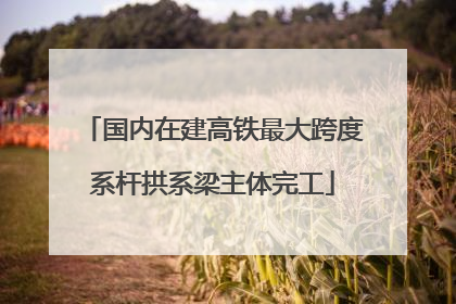 国内在建高铁最大跨度系杆拱系梁主体完工