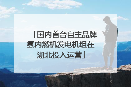 国内首台自主品牌氢内燃机发电机组在湖北投入运营