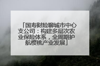 国寿财险聊城市中心支公司：构建多层次农业保险体系，全周期护航樱桃产业发展