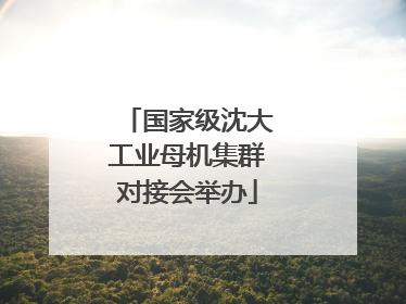 国家级沈大工业母机集群对接会举办