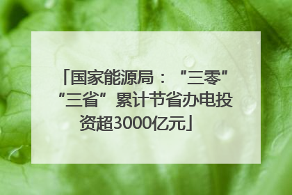 国家能源局：“三零”“三省”累计节省办电投资超3000亿元