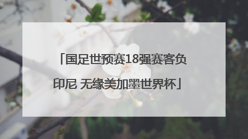 国足世预赛18强赛客负印尼 无缘美加墨世界杯