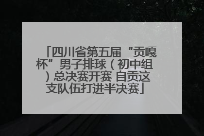 四川省第五届“贡嘎杯”男子排球（初中组）总决赛开赛 自贡这支队伍打进半决赛