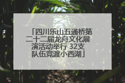 四川乐山五通桥第二十二届龙舟文化展演活动举行 32支队伍竞渡小西湖