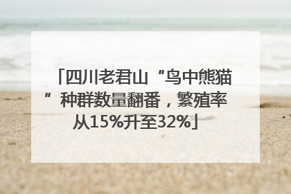 四川老君山“鸟中熊猫”种群数量翻番，繁殖率从15%升至32%