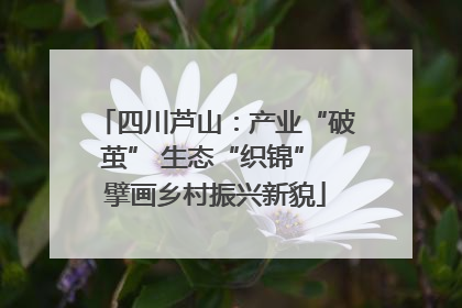 四川芦山：产业“破茧” 生态“织锦” 擘画乡村振兴新貌