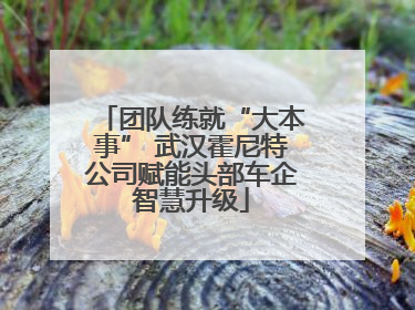团队练就“大本事” 武汉霍尼特公司赋能头部车企智慧升级