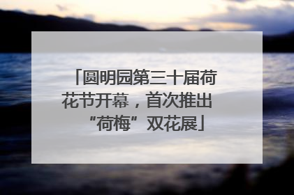 圆明园第三十届荷花节开幕，首次推出“荷梅”双花展