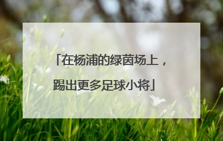 在杨浦的绿茵场上，踢出更多足球小将