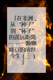 在非洲，从“种子”到“杯子”的遥远距离——一颗咖啡豆的前世今生（三）