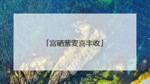 富硒紫麦喜丰收