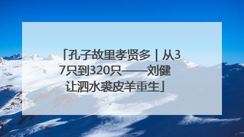 孔子故里孝贤多｜从37只到320只——刘健让泗水裘皮羊重生