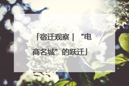 宿迁观察｜“电商名城”的跃迁