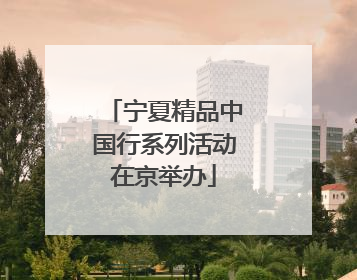 宁夏精品中国行系列活动在京举办