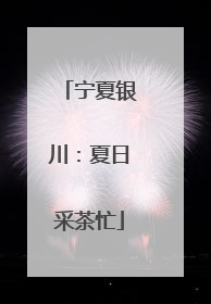 宁夏银川：夏日采茶忙