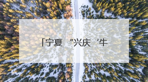 宁夏 “兴庆‘牛’礼为市民奶瓶子”增添更多选择