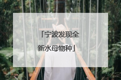 宁波发现全新水母物种