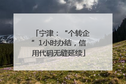 宁津：“个转企”1小时办结，信用代码无缝延续